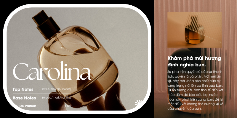 So Sánh Các Dòng Nước Hoa Đình Đám: Bạn Nên Chọn Loại Nào?